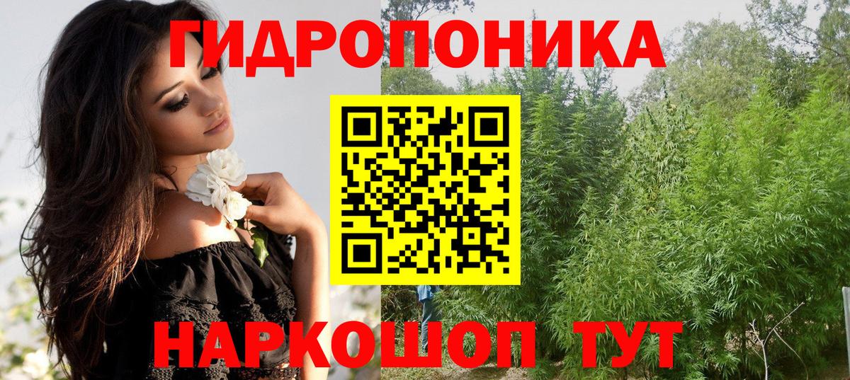 Канабис Amnesia  Вход с VPN  Шали  Марихуана конопля  Шишки марихуана план 